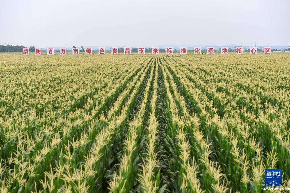 图片.png 图片.png